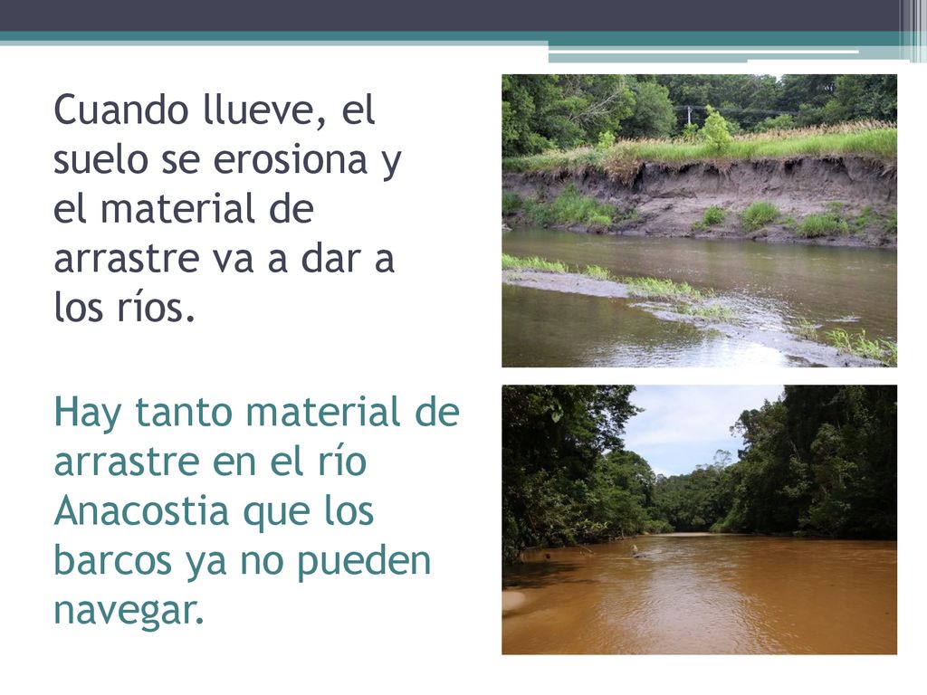Cuando llueve, el suelo se erosiona y el material de arrastre va a dar a los ríos.