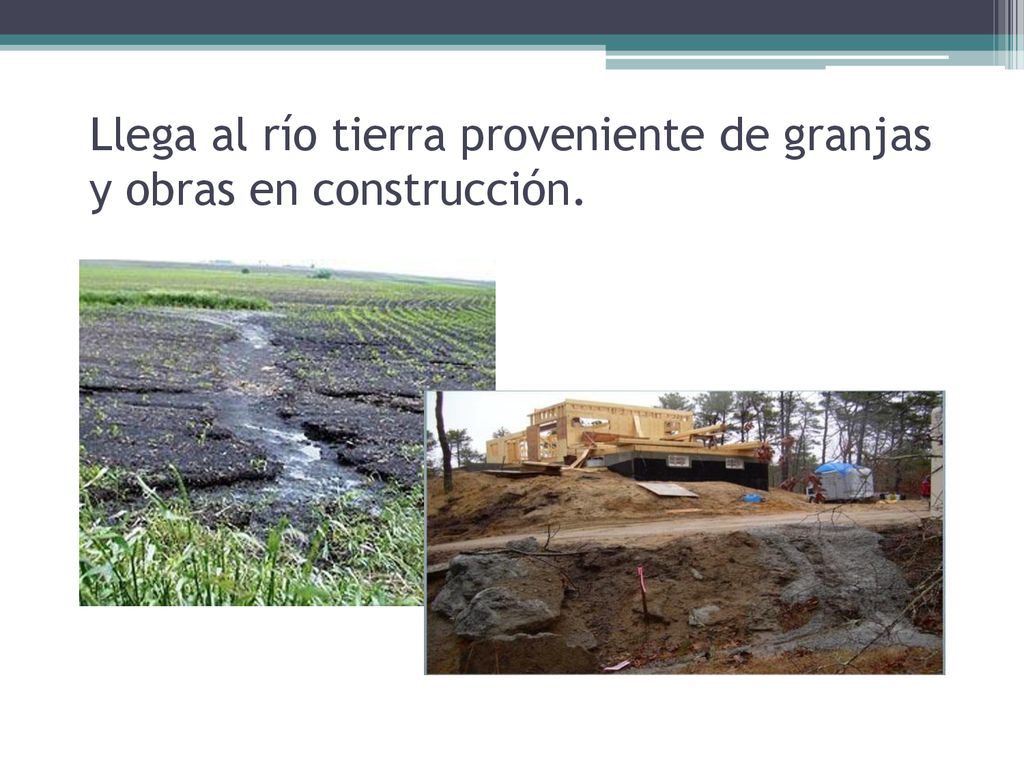 Llega al río tierra proveniente de granjas y obras en construcción.