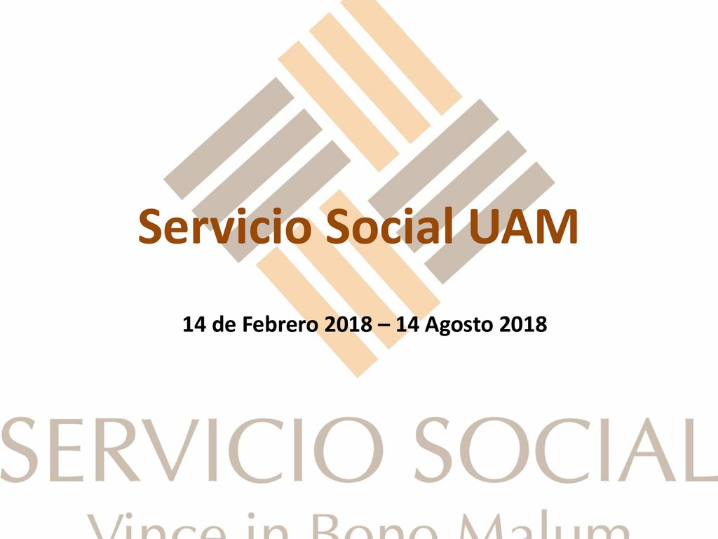 Servicio Social UAM 14 de Febrero 2018 – 14 Agosto 2018