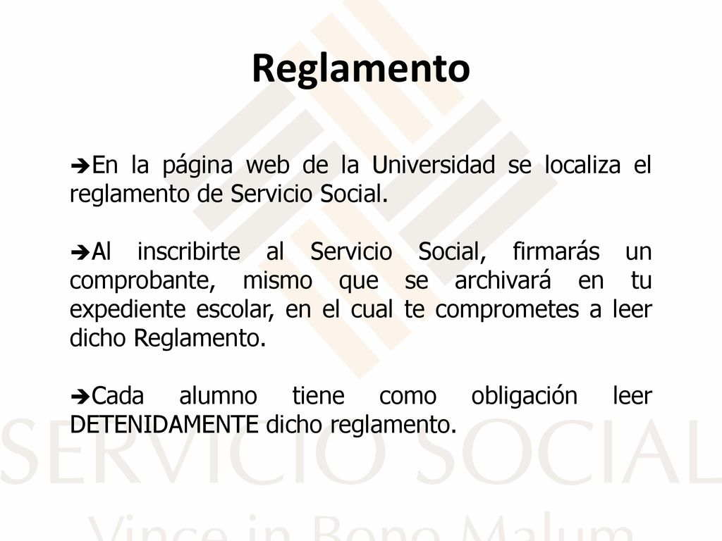 Reglamento En la página web de la Universidad se localiza el reglamento de Servicio Social.