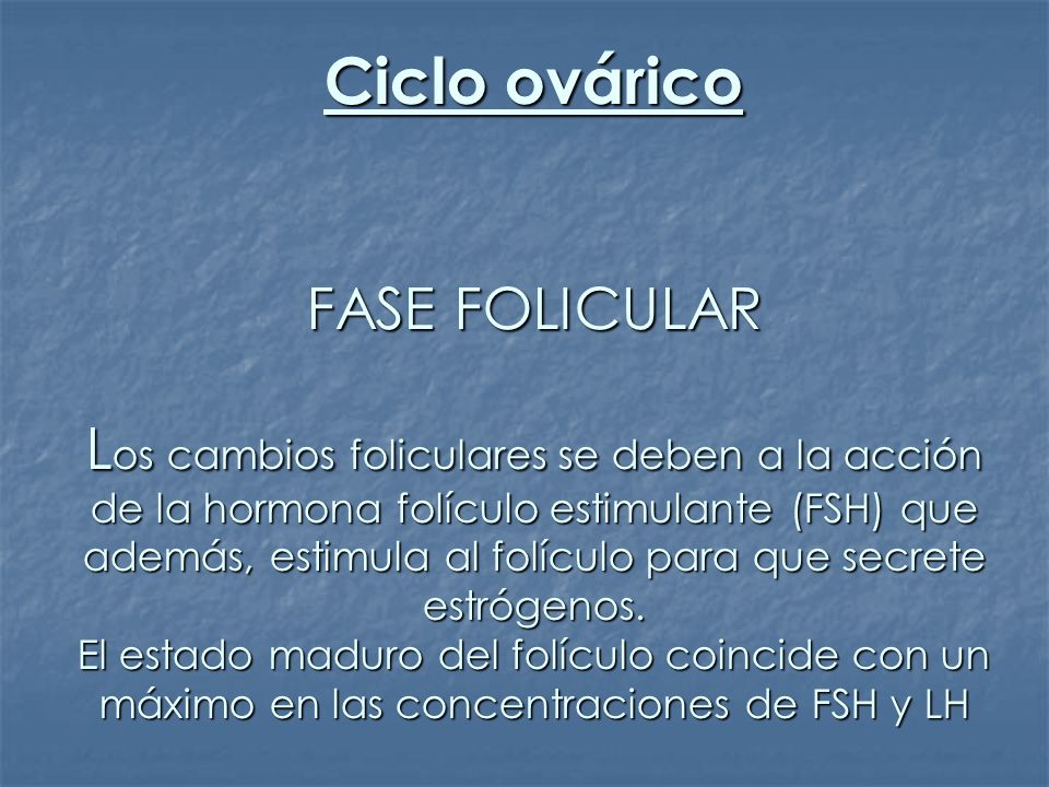 Ciclo ovárico FASE FOLICULAR Los cambios foliculares se deben a la acción de la hormona folículo estimulante (FSH) que además, estimula al folículo para que secrete estrógenos.