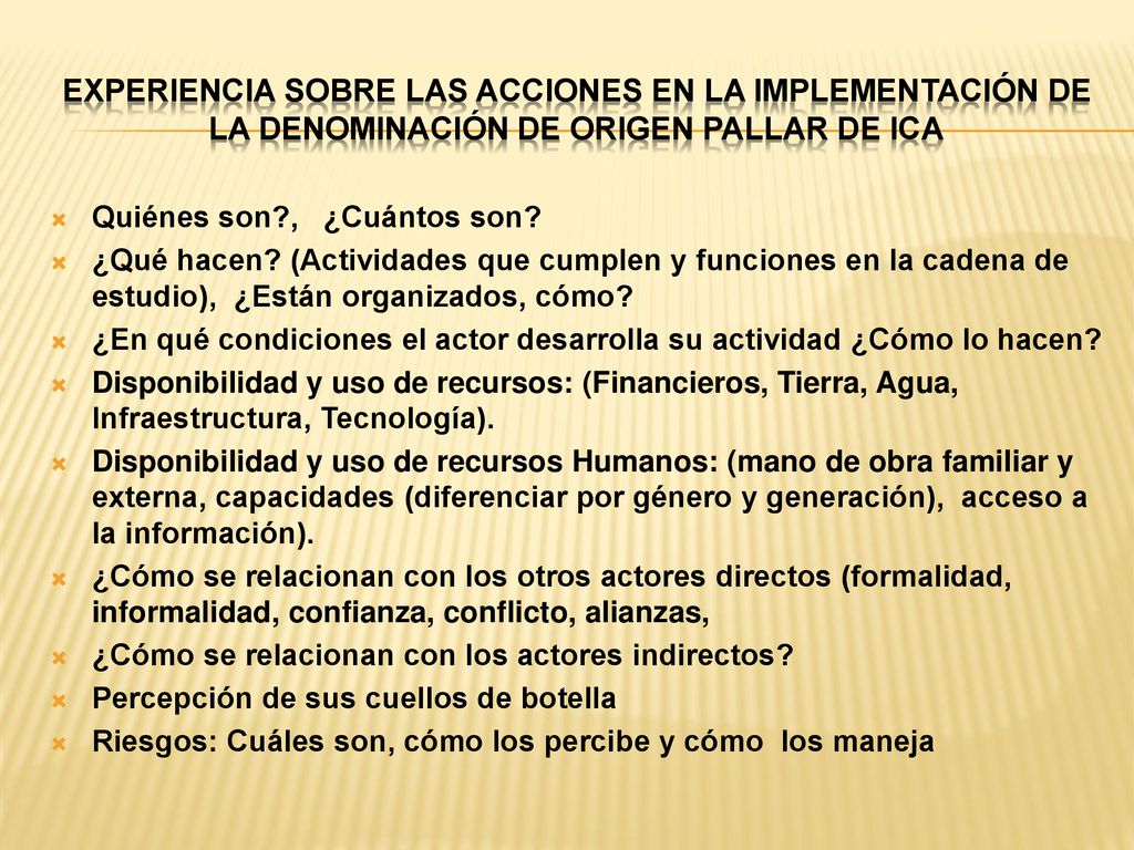 Experiencia sobre las acciones en la Implementación de la Denominación de Origen Pallar de Ica