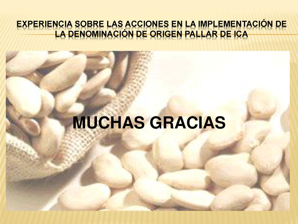 MUCHAS GRACIAS Experiencia sobre las acciones en la Implementación de la Denominación de Origen Pallar de Ica.