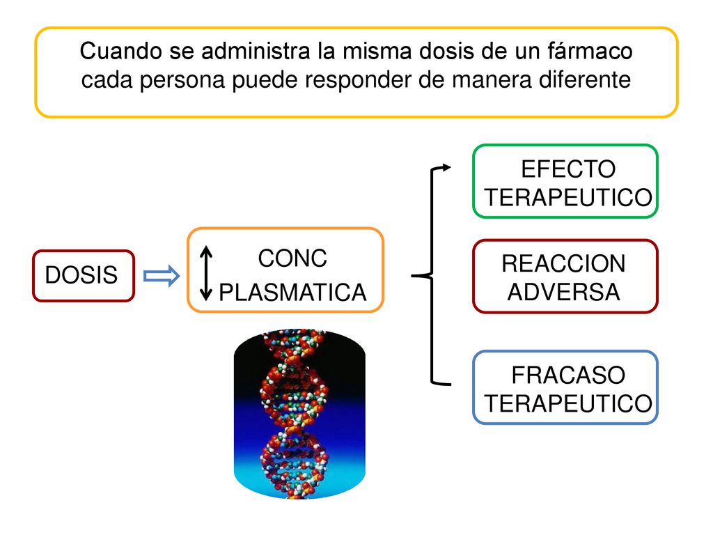 Cuando se administra la misma dosis de un fármaco cada persona puede responder de manera diferente