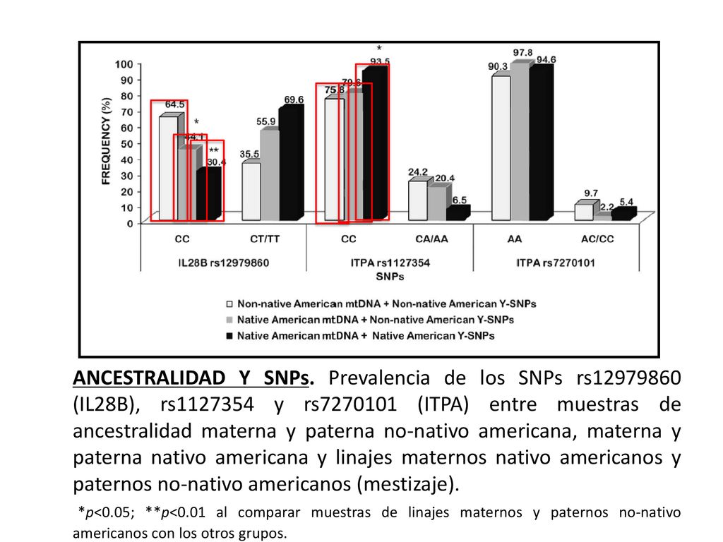 ANCESTRALIDAD Y SNPs. Prevalencia de los SNPs rs (IL28B), rs y rs (ITPA) entre muestras de ancestralidad materna y paterna no-nativo americana, materna y paterna nativo americana y linajes maternos nativo americanos y paternos no-nativo americanos (mestizaje).