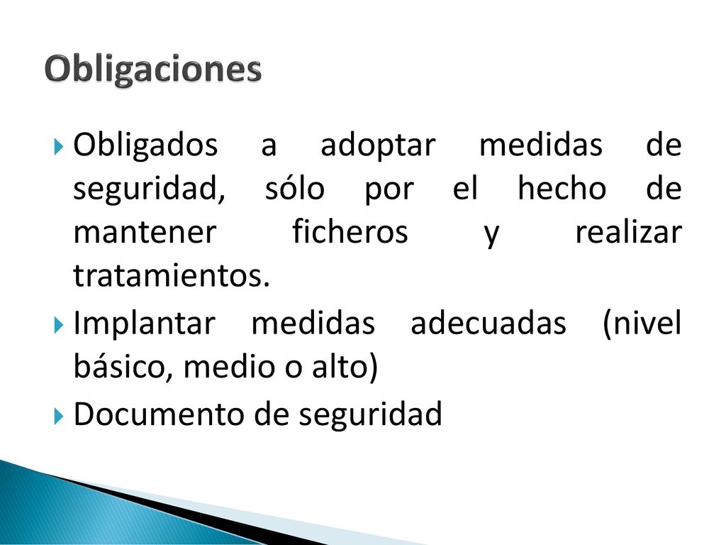 Obligaciones Obligados a adoptar medidas de seguridad, sólo por el hecho de mantener ficheros y realizar tratamientos.