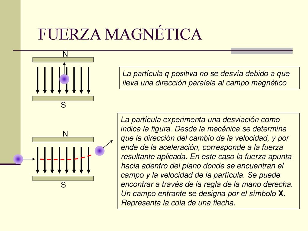 FUERZA MAGNÉTICA N. S. La partícula q positiva no se desvía debido a que lleva una dirección paralela al campo magnético.
