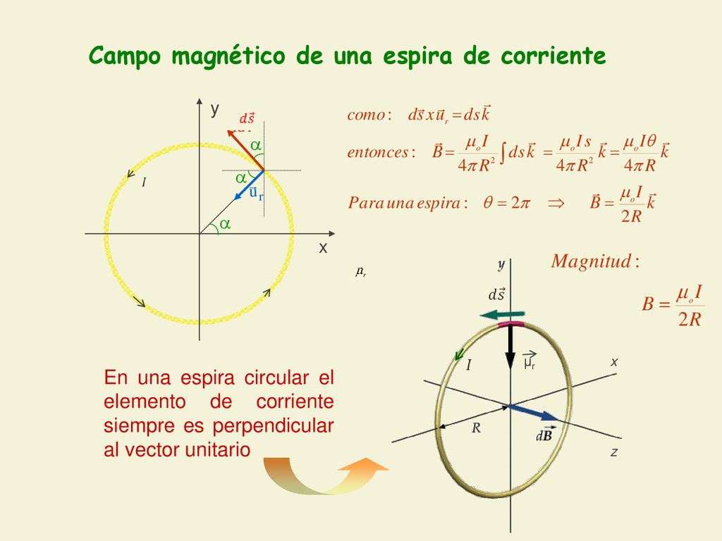 Campo magnético de una espira de corriente