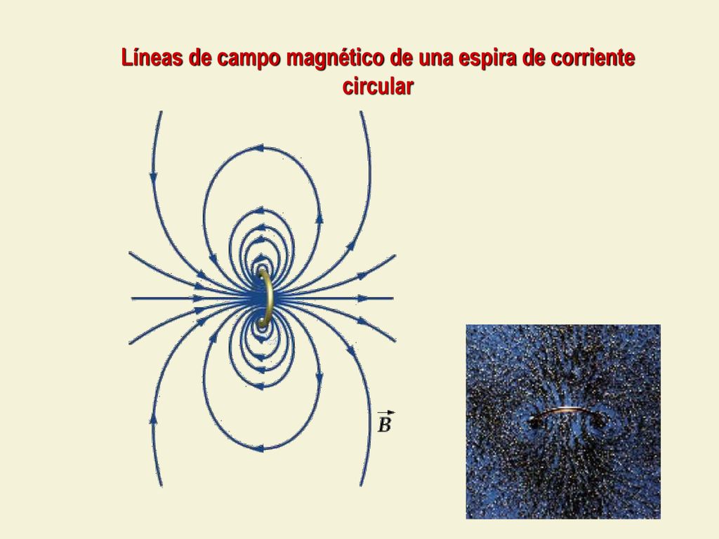 Líneas de campo magnético de una espira de corriente circular