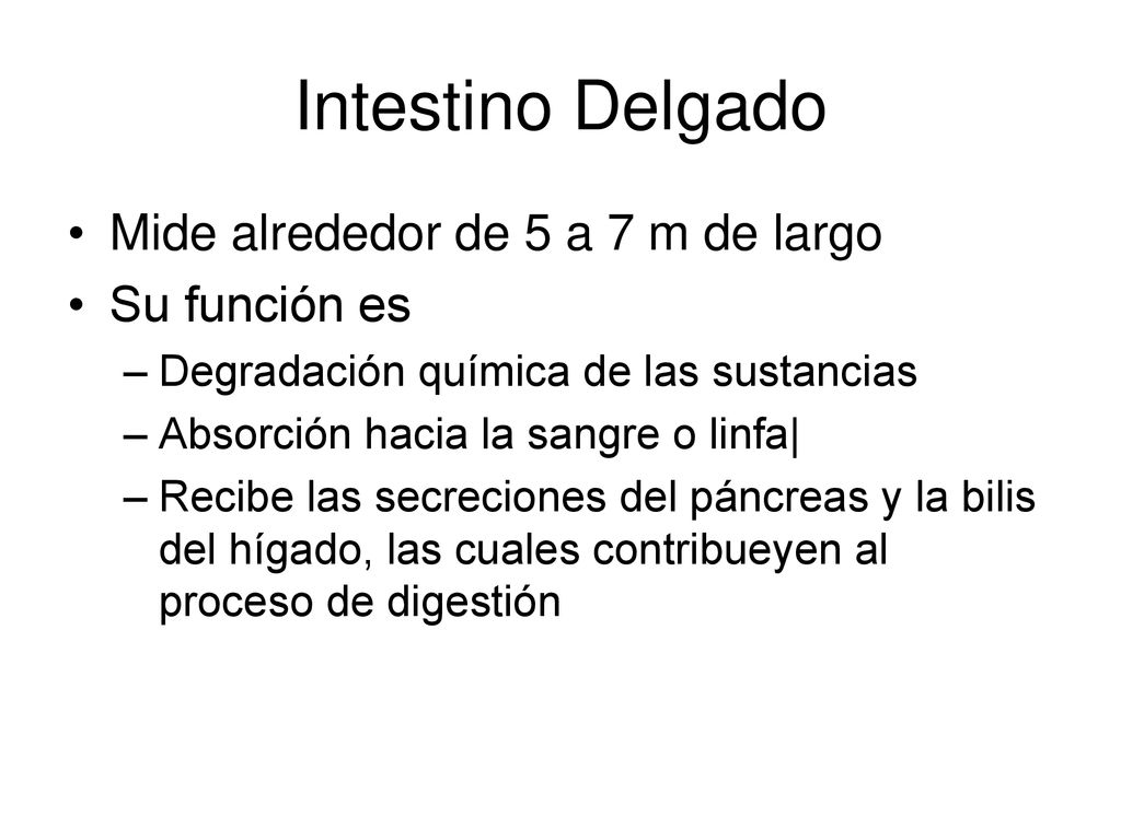 Intestino Delgado Mide alrededor de 5 a 7 m de largo Su función es