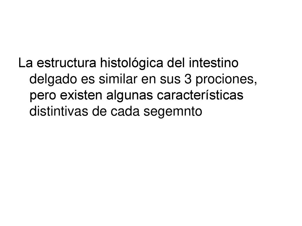 La estructura histológica del intestino delgado es similar en sus 3 prociones, pero existen algunas características distintivas de cada segemnto