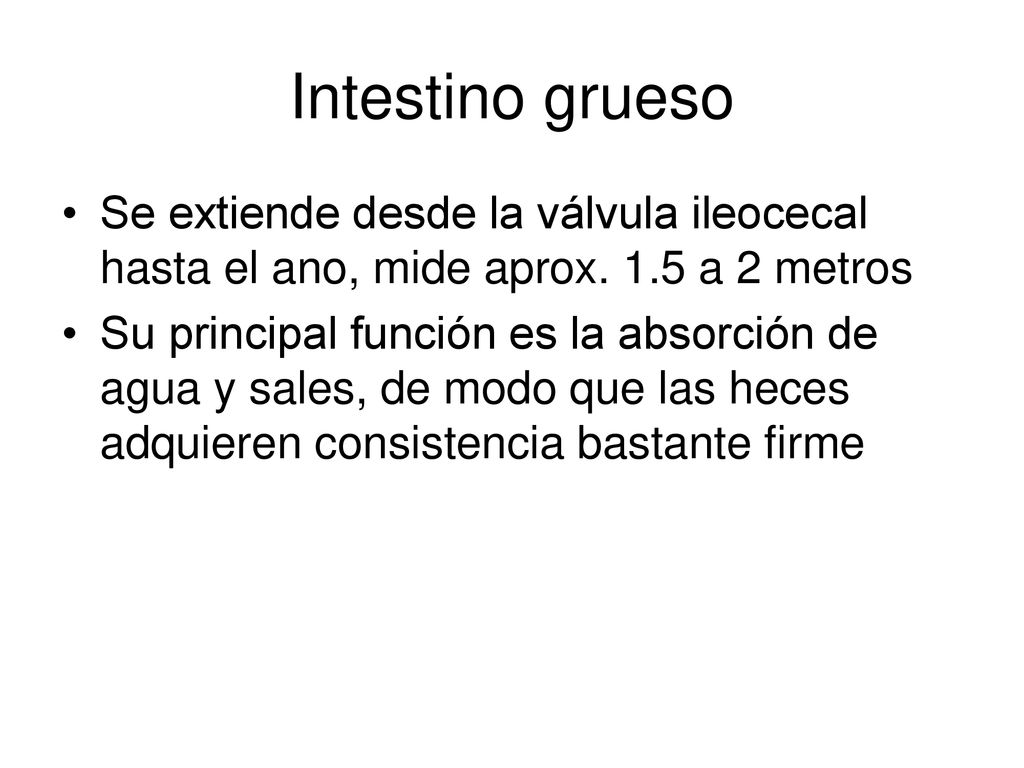 Intestino grueso Se extiende desde la válvula ileocecal hasta el ano, mide aprox. 1.5 a 2 metros.