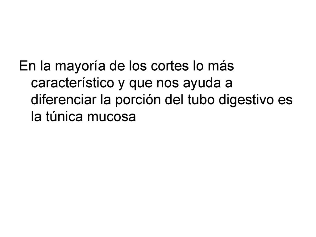 En la mayoría de los cortes lo más característico y que nos ayuda a diferenciar la porción del tubo digestivo es la túnica mucosa