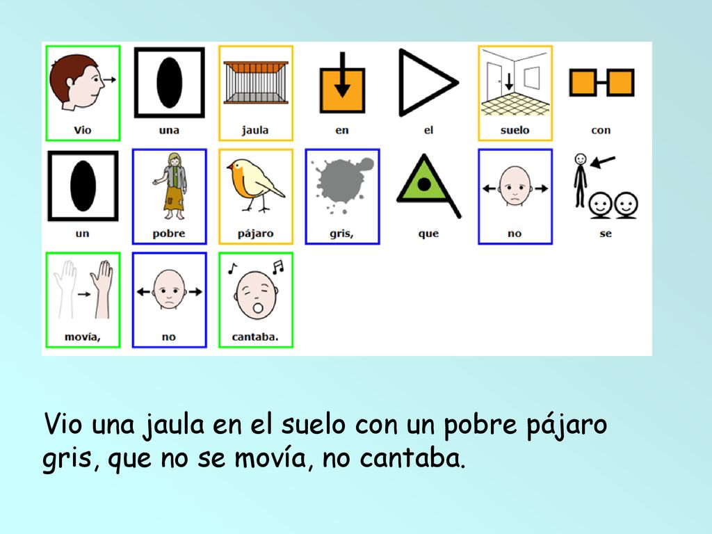 Vio una jaula en el suelo con un pobre pájaro gris, que no se movía, no cantaba.