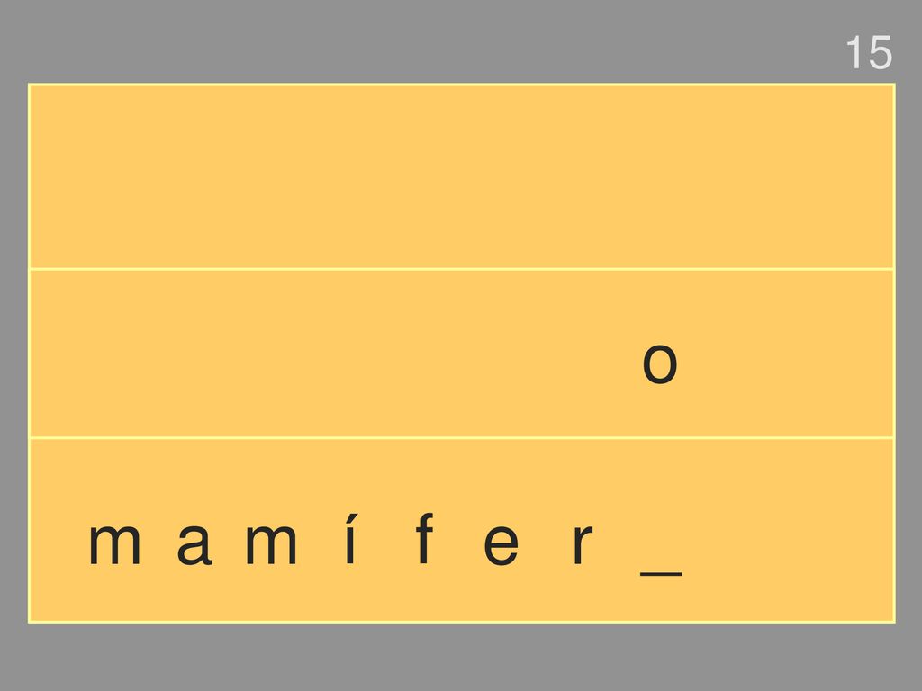 15 o m a m í f e r _