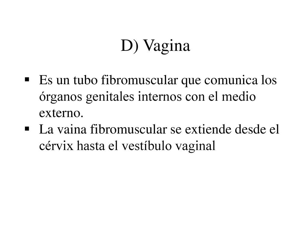 D) Vagina Es un tubo fibromuscular que comunica los órganos genitales internos con el medio externo.