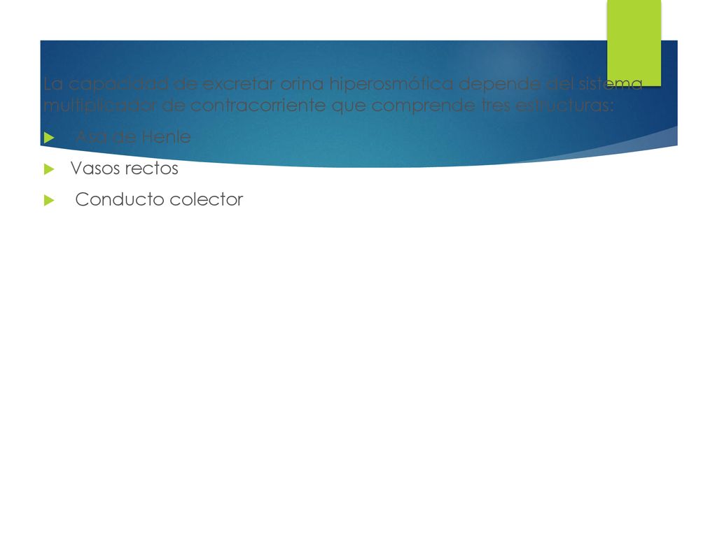 La capacidad de excretar orina hiperosmótica depende del sistema multiplicador de contracorriente que comprende tres estructuras:
