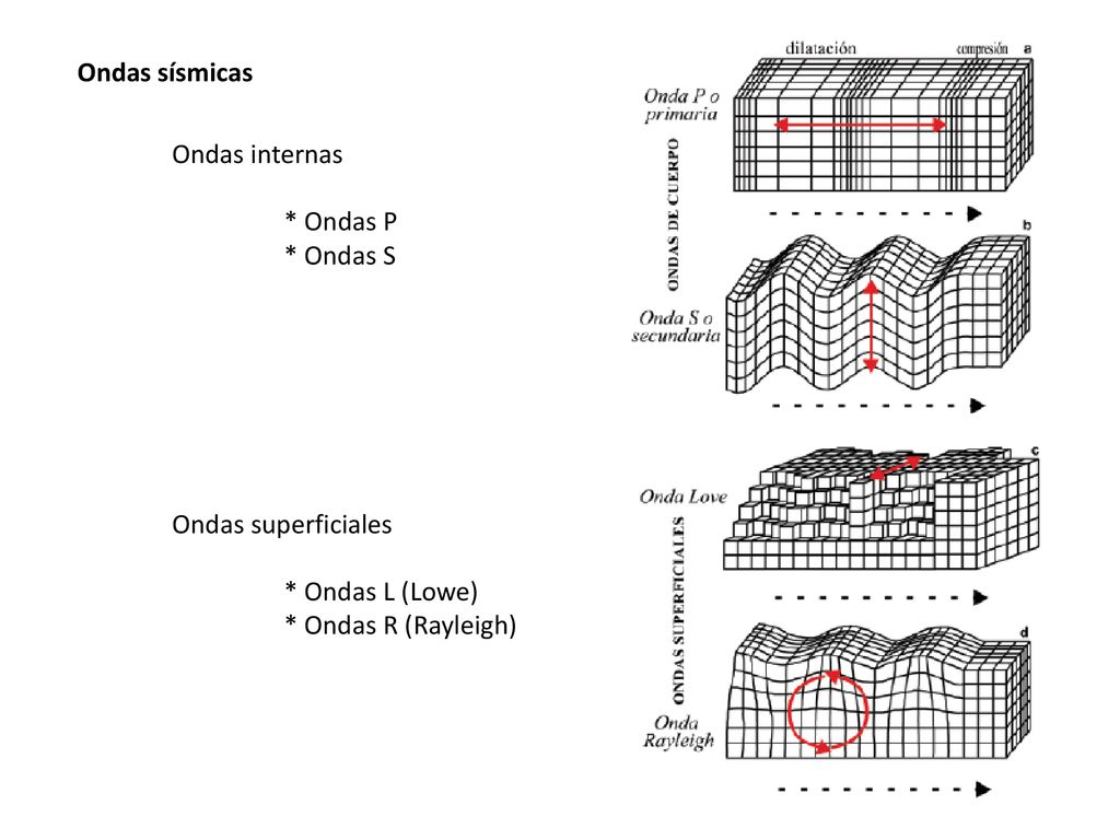 Ondas sísmicas Ondas internas. * Ondas P. * Ondas S.