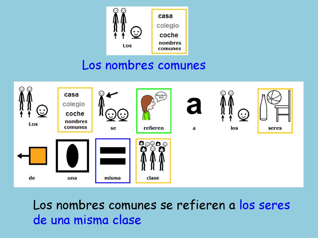 Los nombres comunes Los nombres comunes se refieren a los seres de una misma clase
