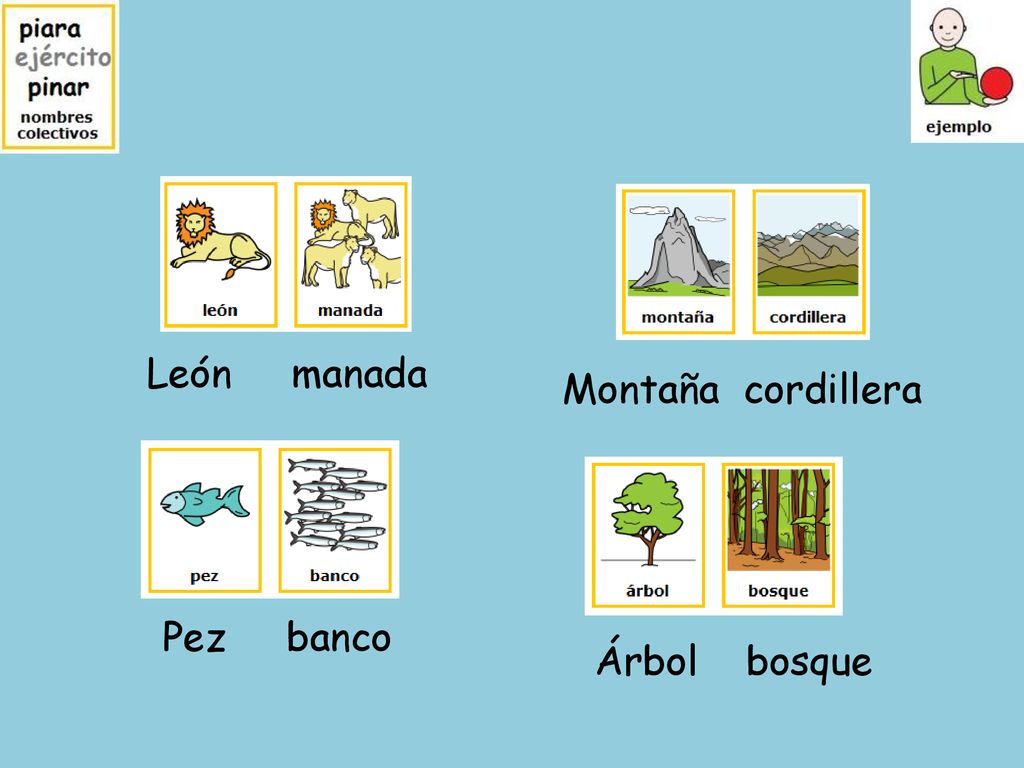 León manada Montaña cordillera Pez banco Árbol bosque
