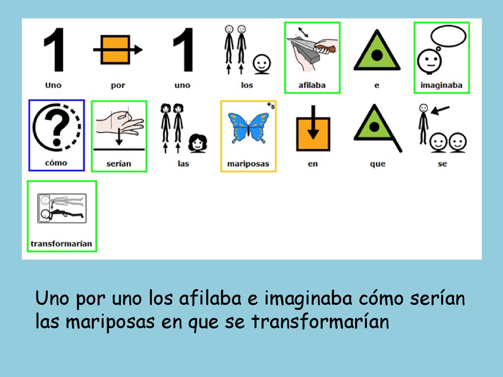 Uno por uno los afilaba e imaginaba cómo serían las mariposas en que se transformarían