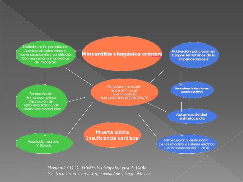 Hernández D.O.: Hipótesis Fisiopatológica de Daño Eléctrico Crónico en la Enfermedad de Chagas-Mazza