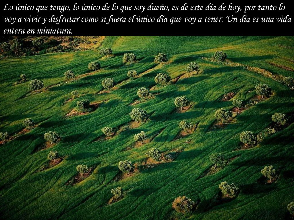 Lo único que tengo, lo único de lo que soy dueño, es de este día de hoy, por tanto lo voy a vivir y disfrutar como si fuera el único día que voy a tener.