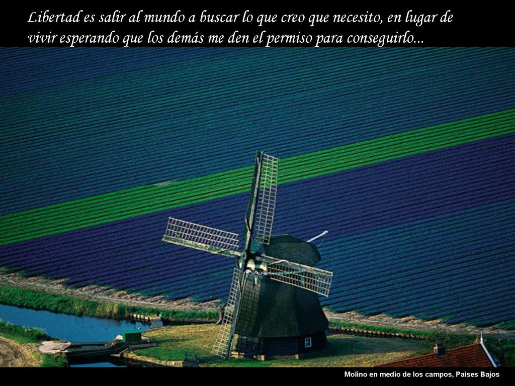 Libertad es salir al mundo a buscar lo que creo que necesito, en lugar de vivir esperando que los demás me den el permiso para conseguirlo...
