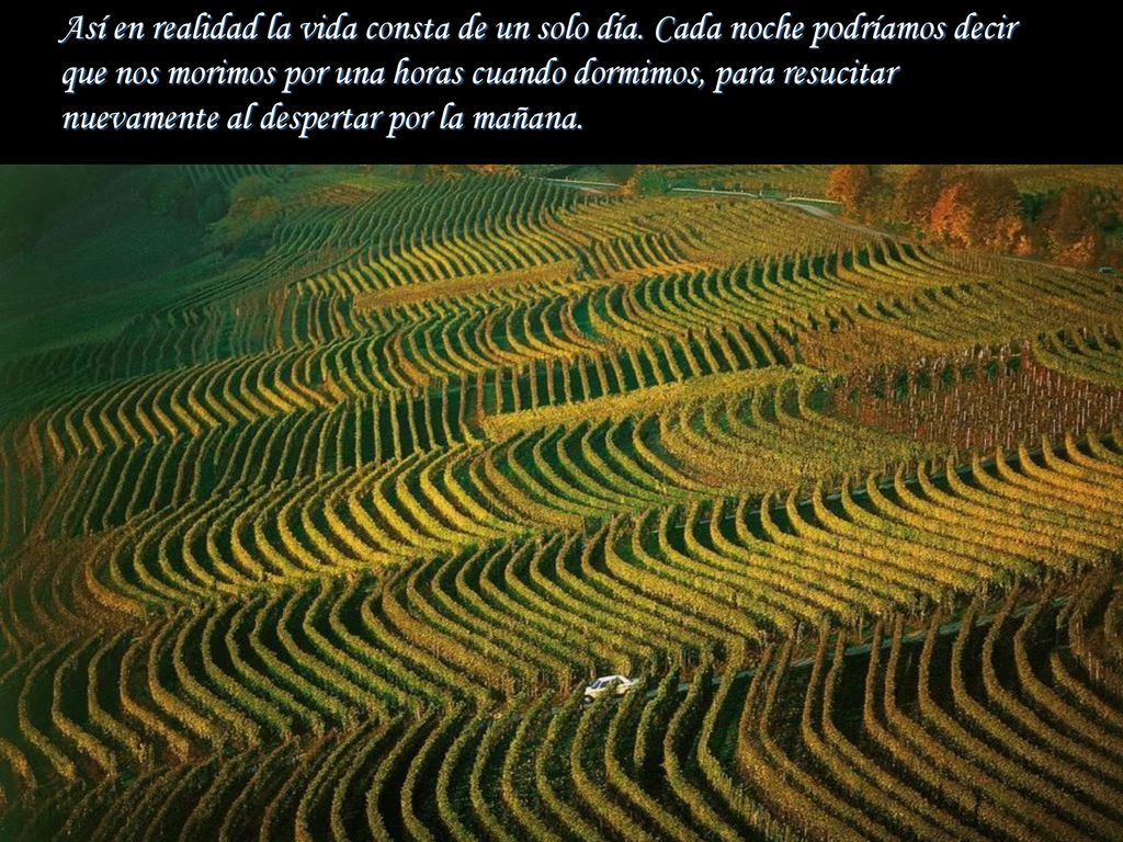 Así en realidad la vida consta de un solo día