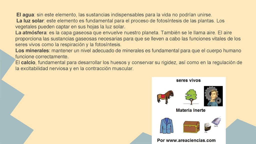 El agua: sin este elemento, las sustancias indispensables para la vida no podrían unirse.