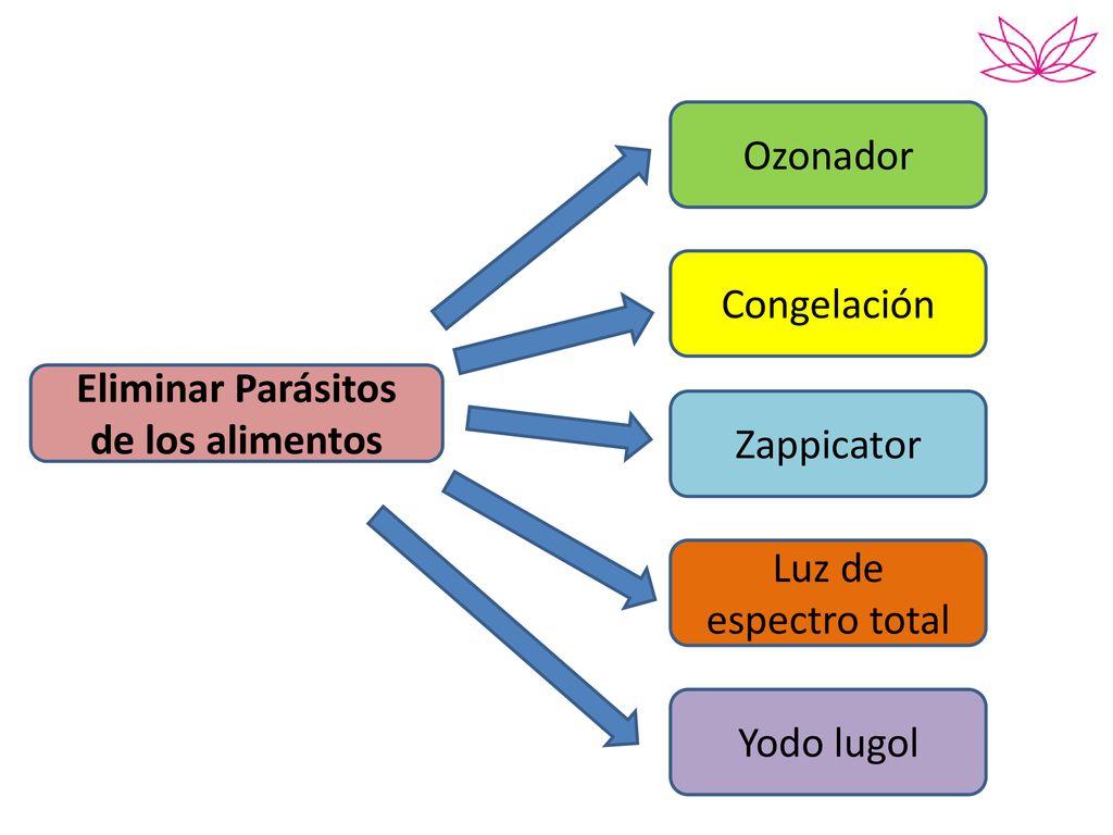 Ozonador Congelación. Eliminar Parásitos. de los alimentos. Zappicator. Luz de. espectro total.