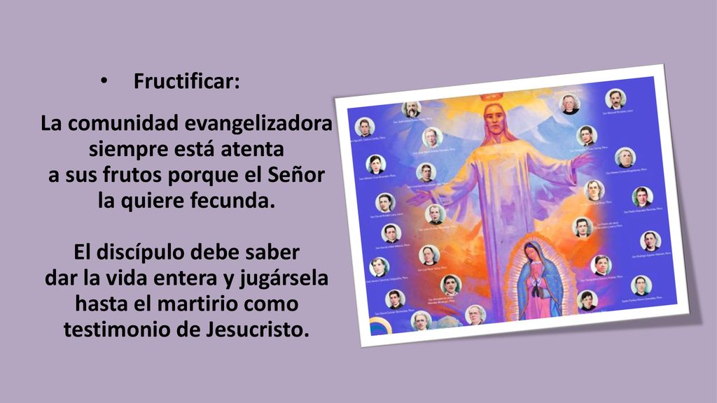 Fructificar: La comunidad evangelizadora siempre está atenta a sus frutos porque el Señor la quiere fecunda.