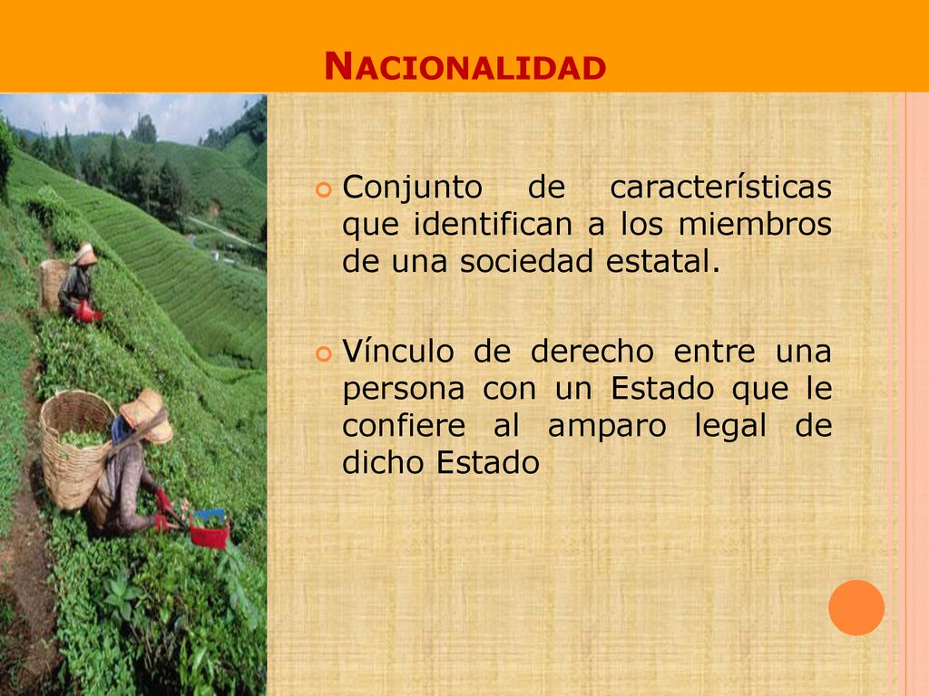 Nacionalidad Conjunto de características que identifican a los miembros de una sociedad estatal.