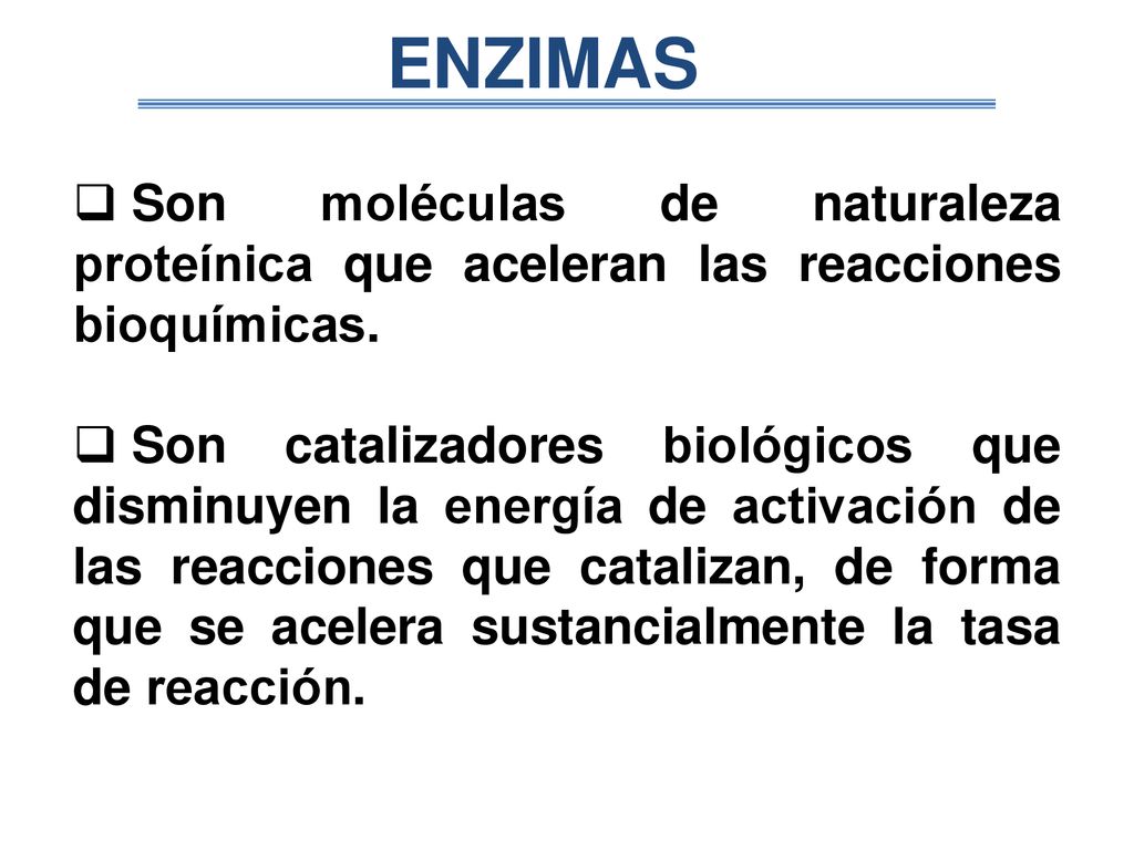 ENZIMAS Son moléculas de naturaleza proteínica que aceleran las reacciones bioquímicas.