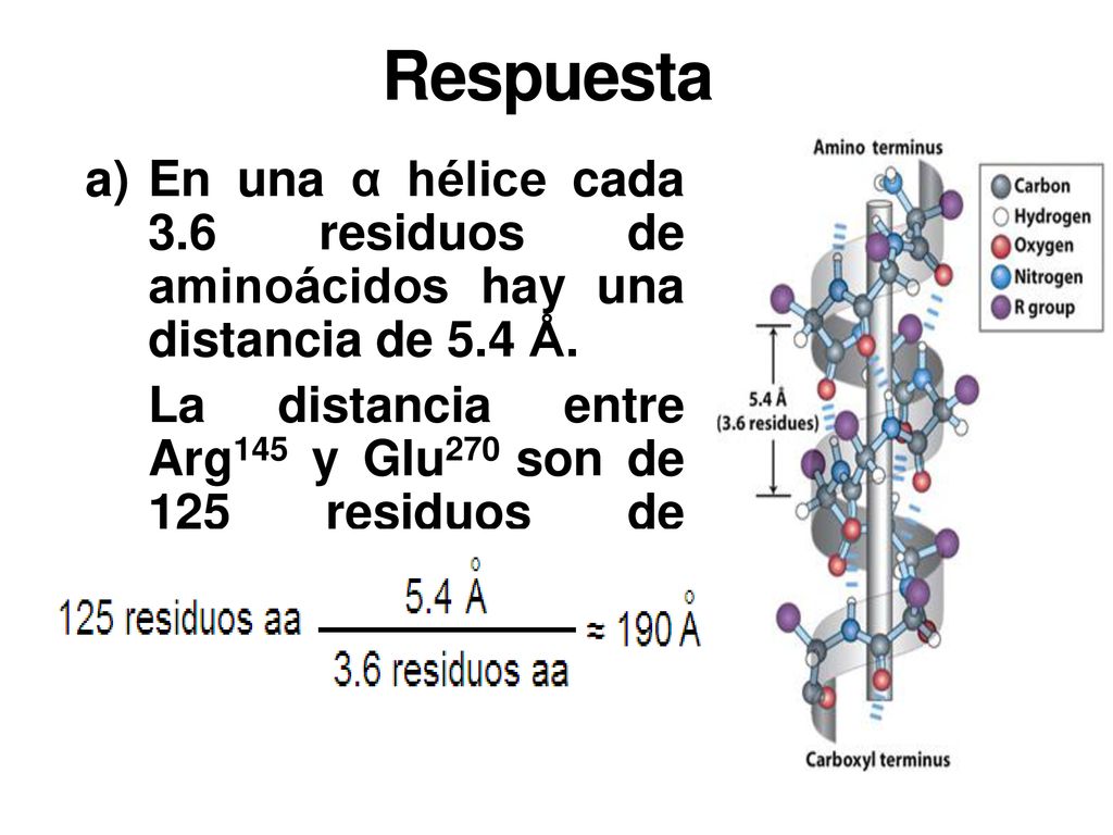 Respuesta En una α hélice cada 3.6 residuos de aminoácidos hay una distancia de 5.4 Å.