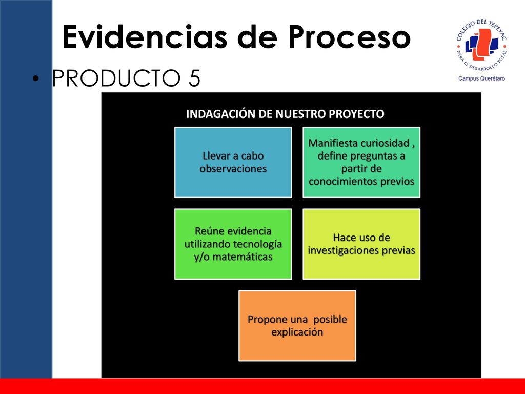 Evidencias de Proceso PRODUCTO 5