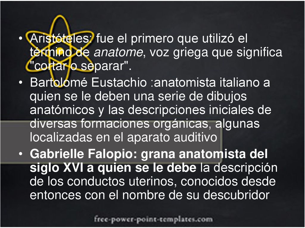Aristóteles: fue el primero que utilizó el término de anatome, voz griega que significa cortar o separar .