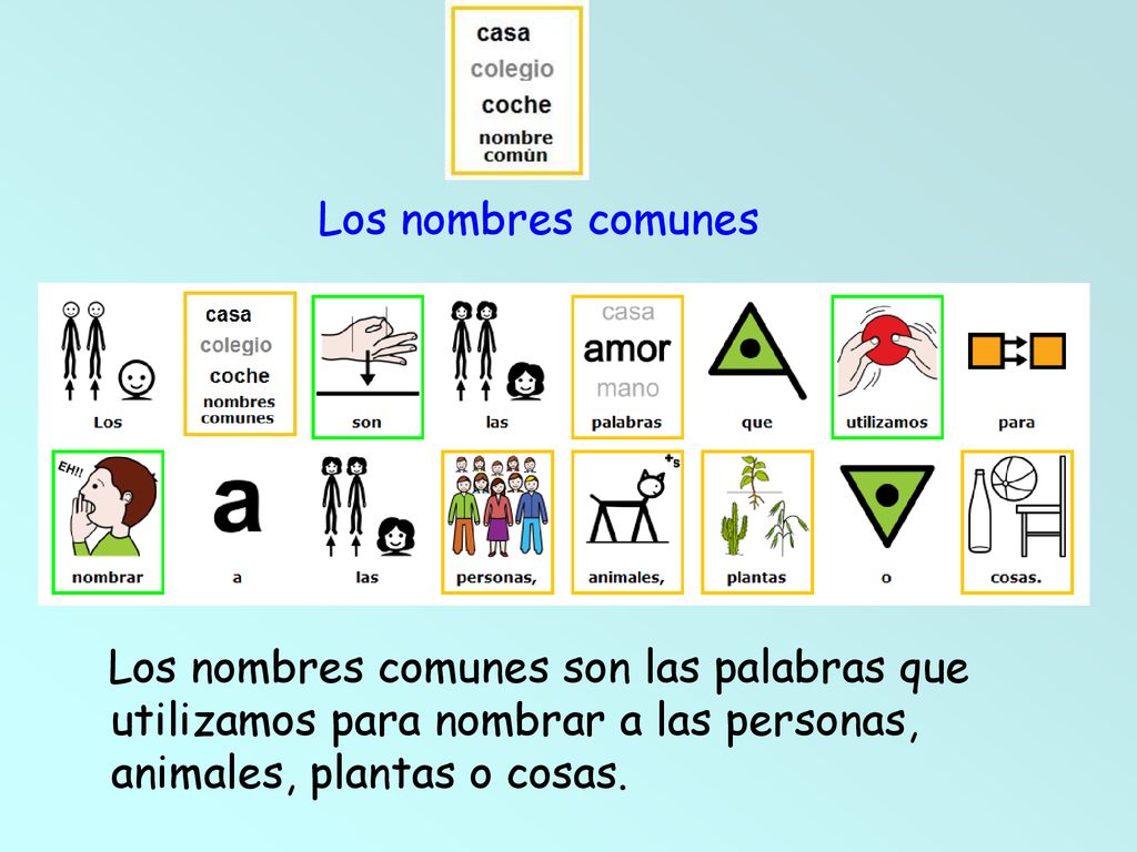 Los nombres comunes Los nombres comunes son las palabras que utilizamos para nombrar a las personas, animales, plantas o cosas.