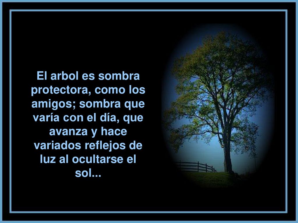 El arbol es sombra protectora, como los amigos; sombra que varía con el día, que avanza y hace variados reflejos de luz al ocultarse el sol...