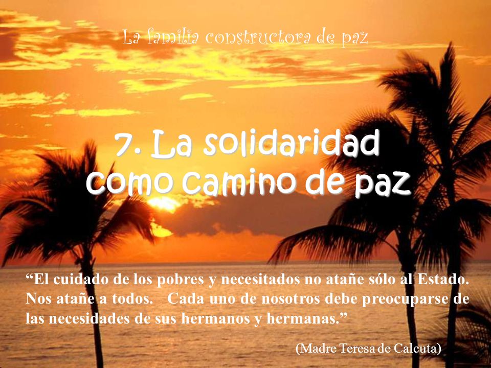 7. La solidaridad como camino de paz