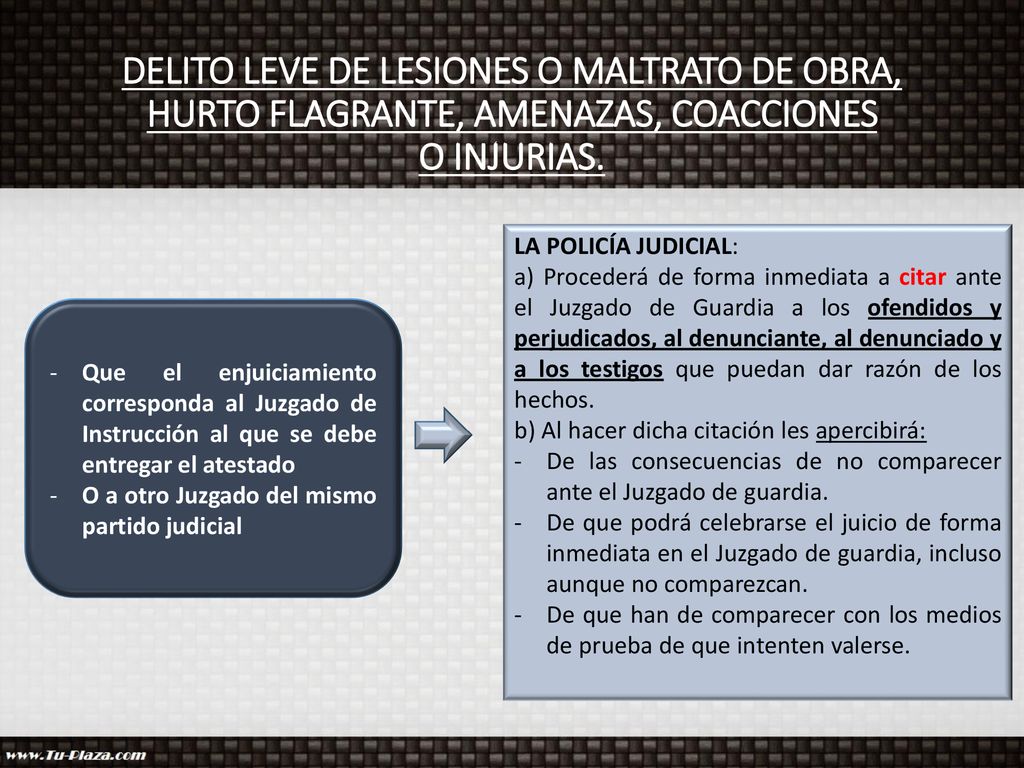 DELITO LEVE DE LESIONES O MALTRATO DE OBRA, HURTO FLAGRANTE, AMENAZAS, COACCIONES O INJURIAS.