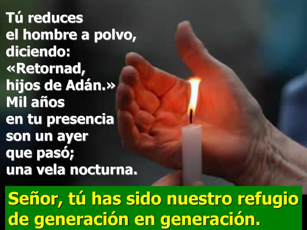 Señor, tú has sido nuestro refugio de generación en generación.