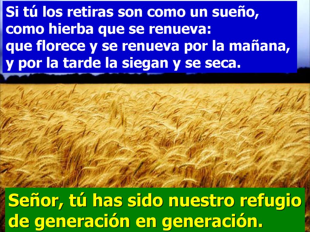 Señor, tú has sido nuestro refugio de generación en generación.