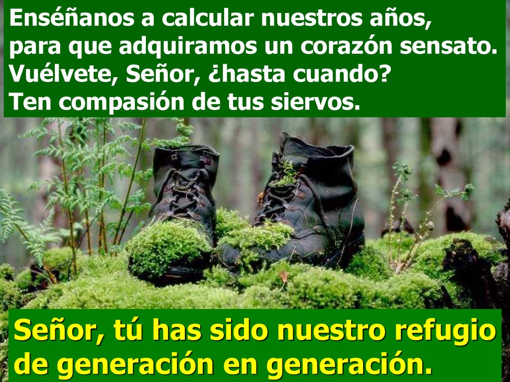 Señor, tú has sido nuestro refugio de generación en generación.