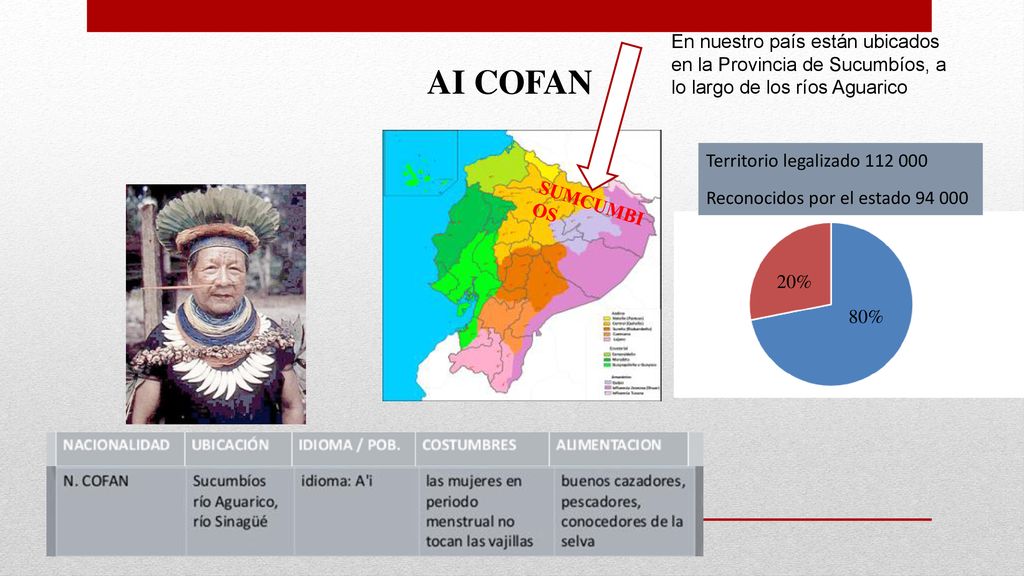 En nuestro país están ubicados en la Provincia de Sucumbíos, a lo largo de los ríos Aguarico