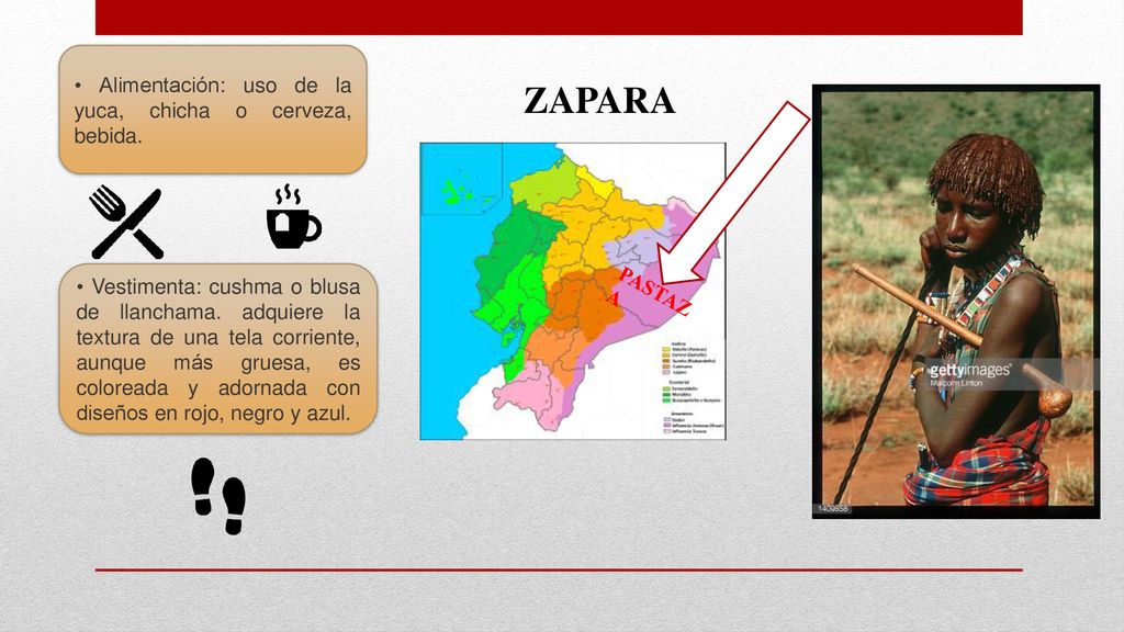 ZAPARA • Alimentación: uso de la yuca, chicha o cerveza, bebida. .