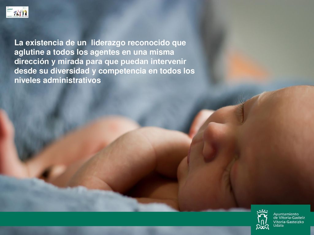 La existencia de un liderazgo reconocido que aglutine a todos los agentes en una misma dirección y mirada para que puedan intervenir desde su diversidad y competencia en todos los niveles administrativos
