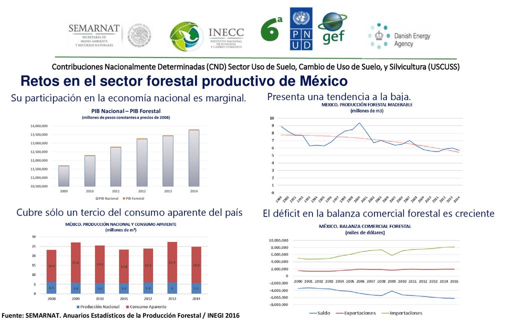 Retos en el sector forestal productivo de México
