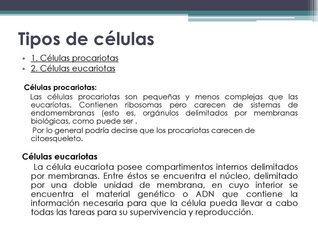 Tipos de células 1. Células procariotas 2. Células eucariotas