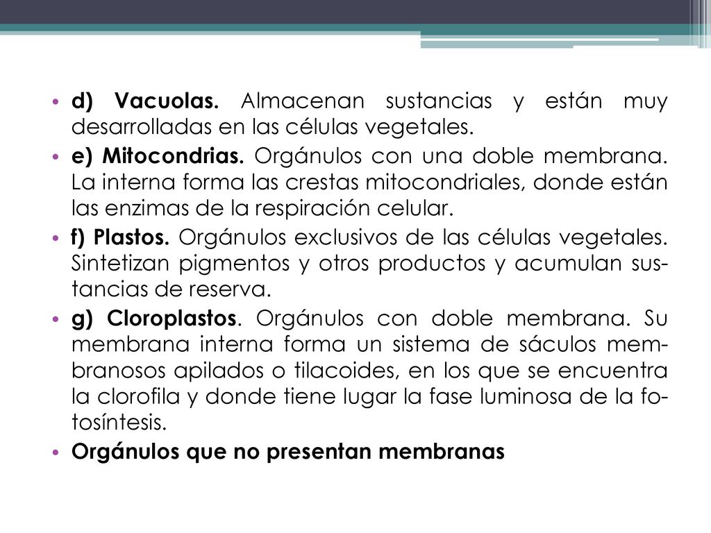 d) Vacuolas. Almacenan sustancias y están muy desarro­lladas en las células vegetales.